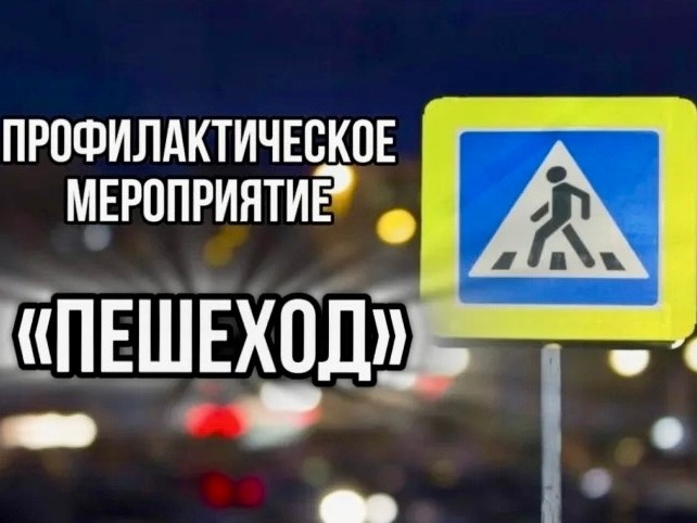 До 17 апреля в Северодвинске проходит профилактическое мероприятие «Пешеход».